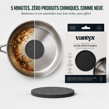 Vantyx Stainless Steel Scrubber