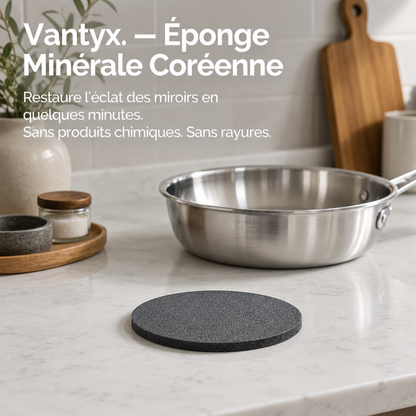 Vantyx Stainless Steel Scrubber