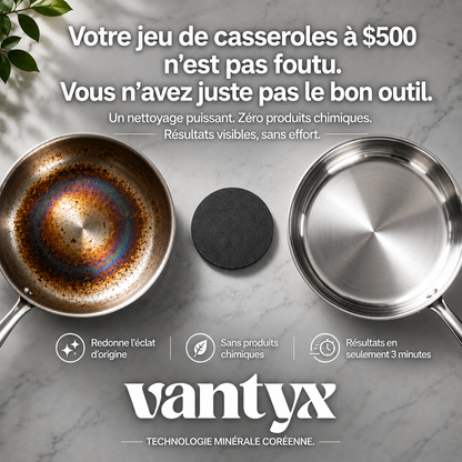 Vantyx Stainless Steel Scrubber
