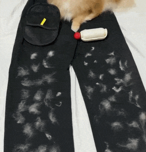 Vantyx Magic Brush
